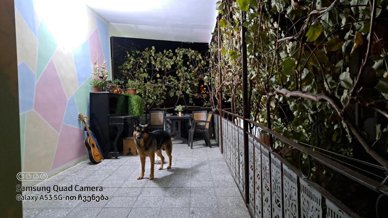 Apartment With A Nice Terrace In Old City Center Τυφλίδα Εξωτερικό φωτογραφία