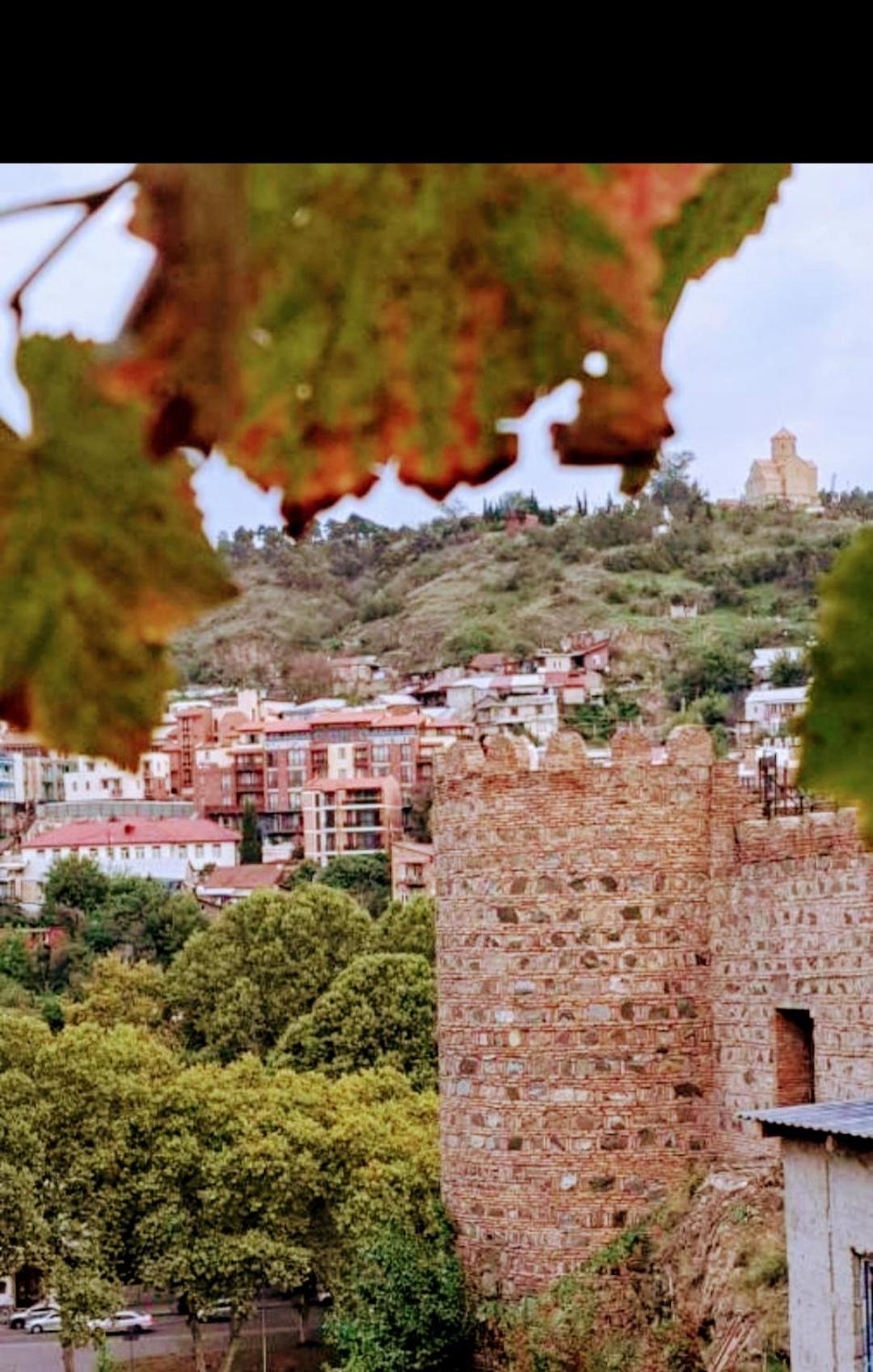 Apartment With A Nice Terrace In Old City Center Τυφλίδα Εξωτερικό φωτογραφία
